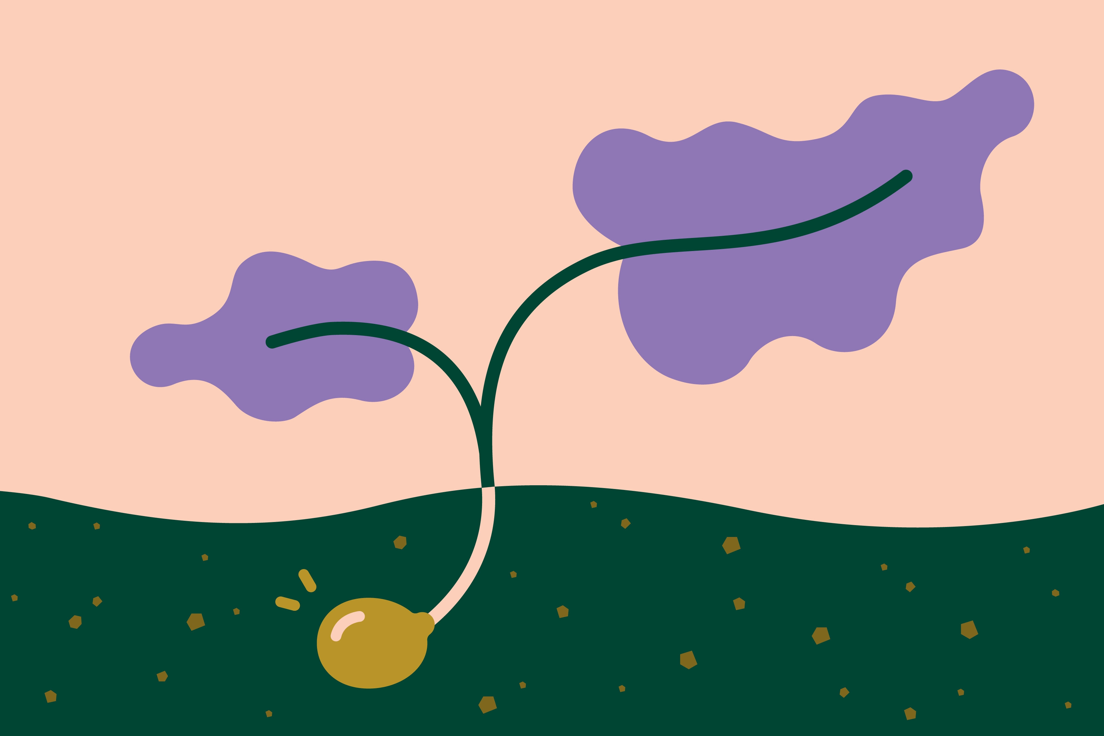 Workshop: Sierra & Digitala tjänster.  Del 2 i grundutbildningen kring bibliotekssystem och digitala tjänster